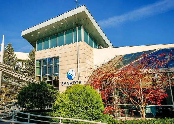 세나토르 4* 드지비르지노