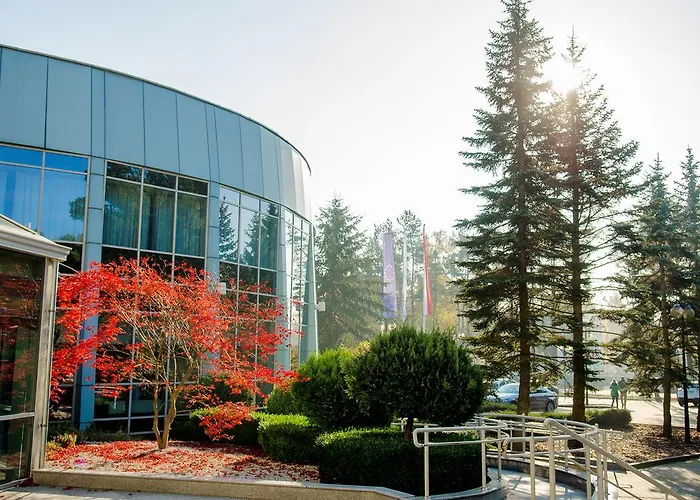 세나토르 드지비르지노