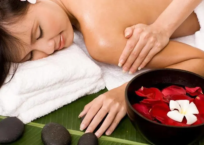 호텔 세나토르 드지비르지노