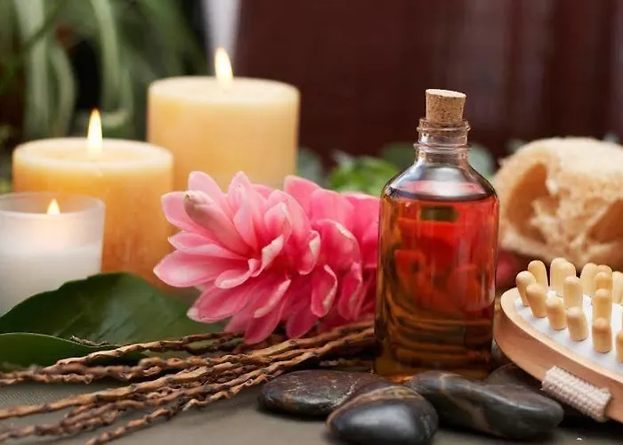 세나토르 호텔 드지비르지노